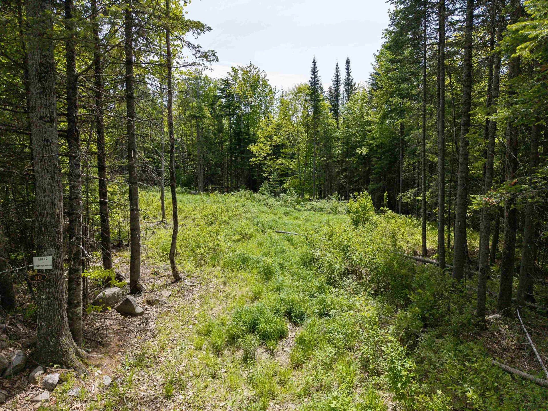 40 Bear Paw Trail Littleton NH 03561