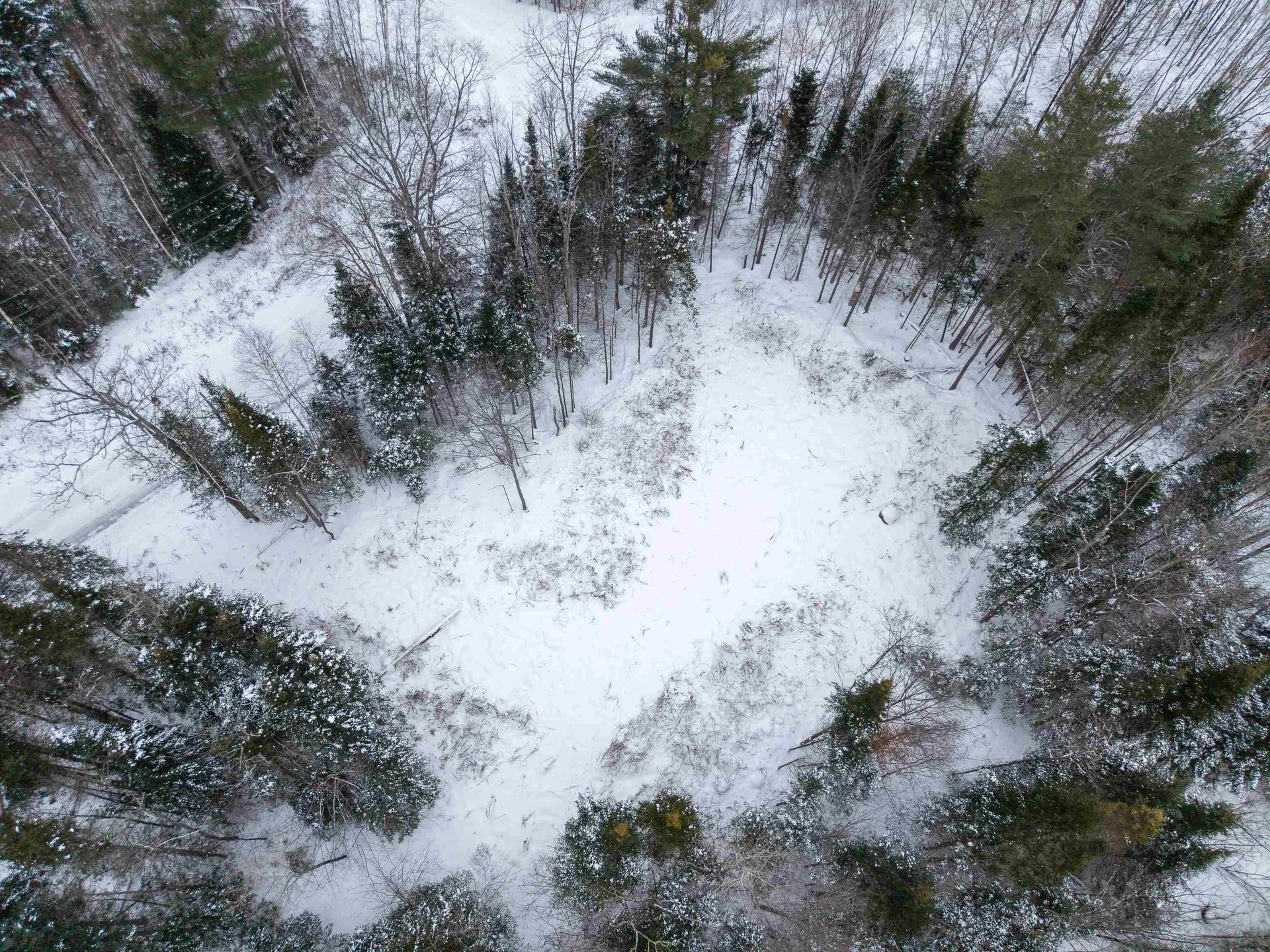 40 Bear Paw Trail Littleton NH 03561