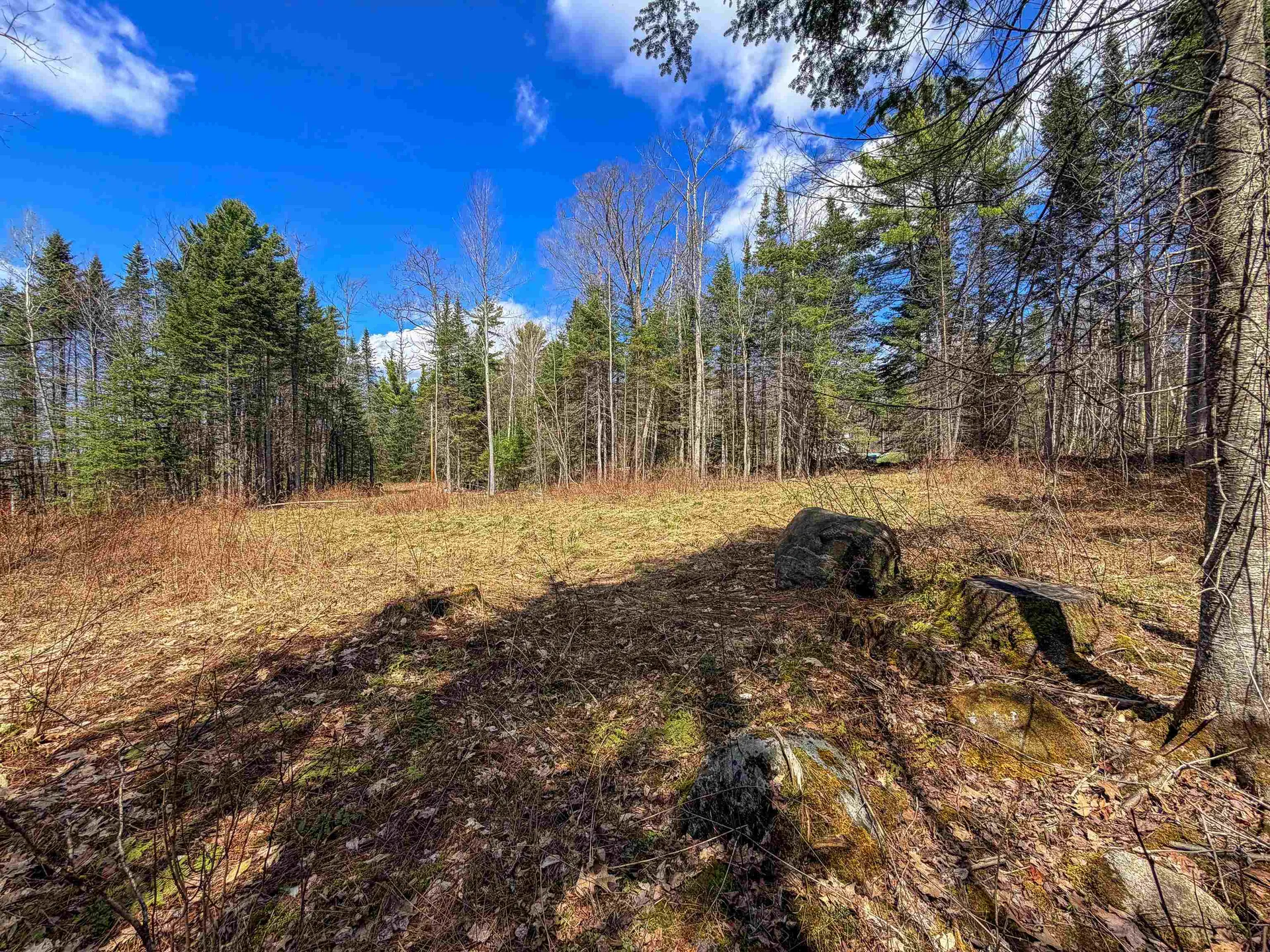 40 Bear Paw Trail Littleton NH 03561