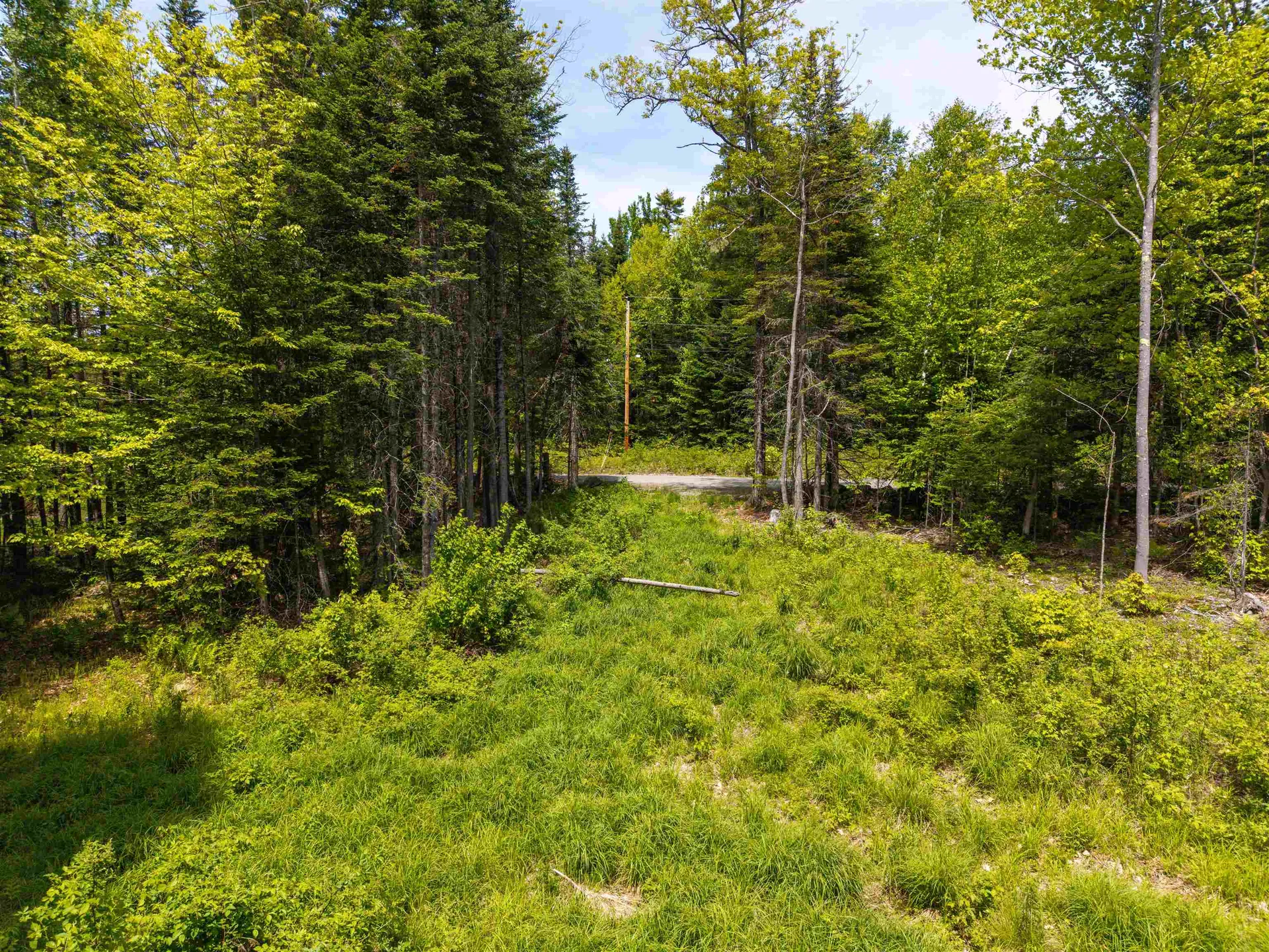 40 Bear Paw Trail Littleton NH 03561