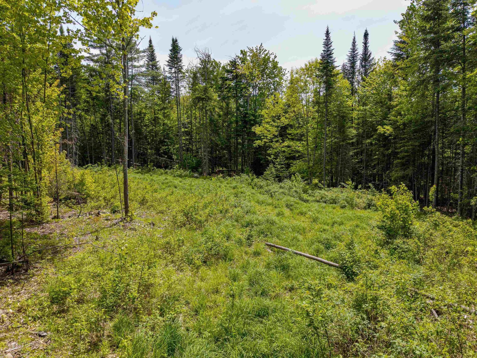 40 Bear Paw Trail Littleton NH 03561