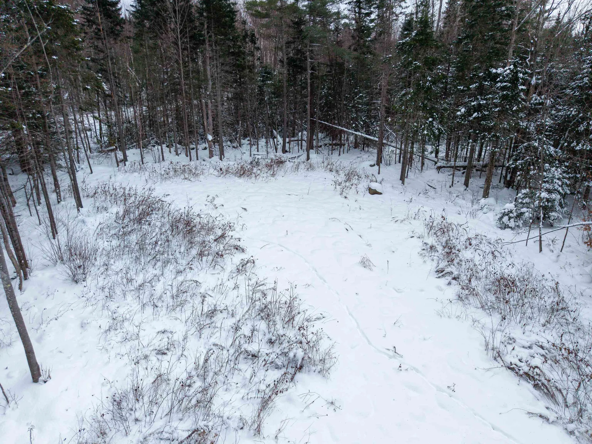 40 Bear Paw Trail Littleton NH 03561