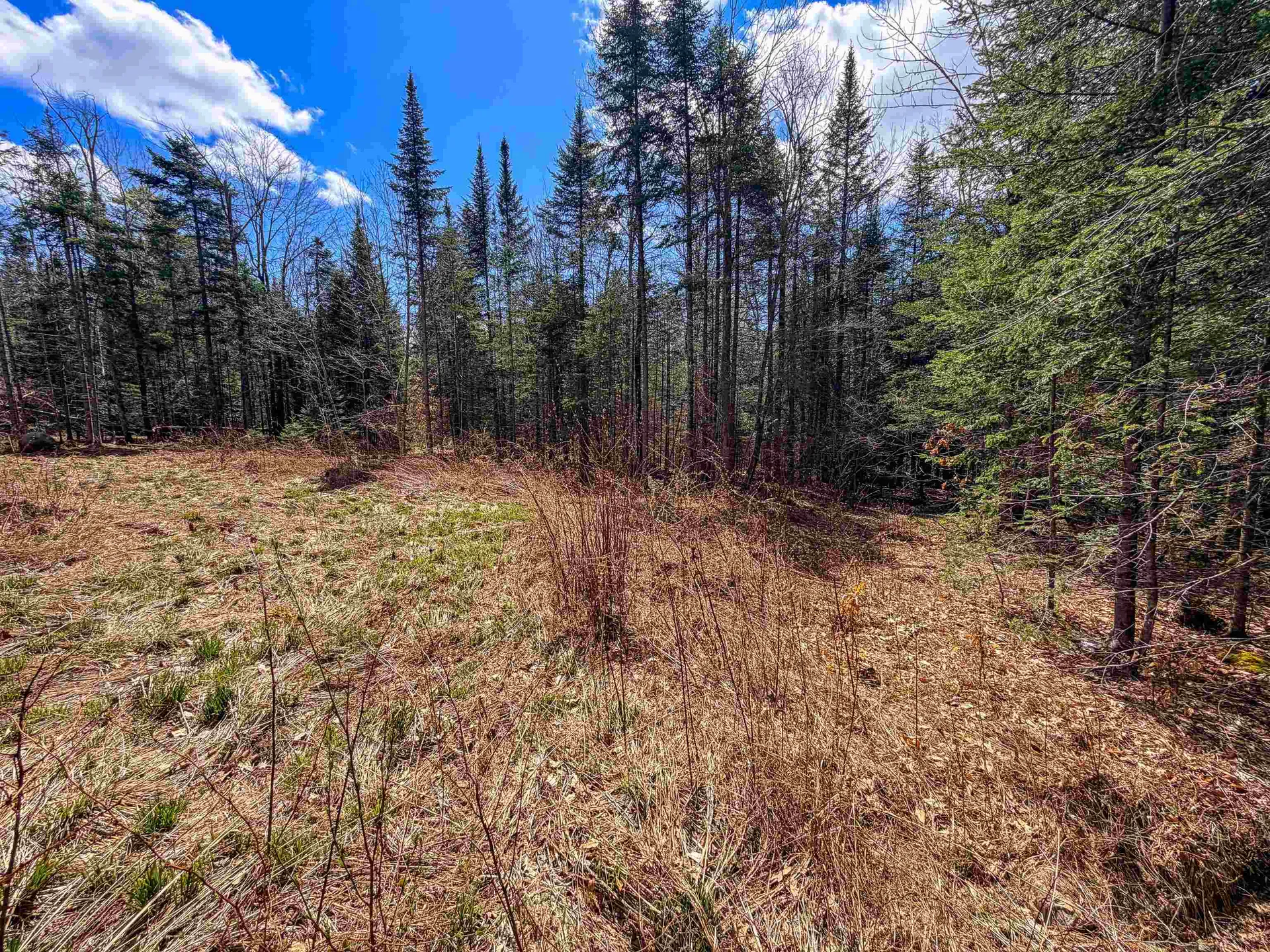 40 Bear Paw Trail Littleton NH 03561