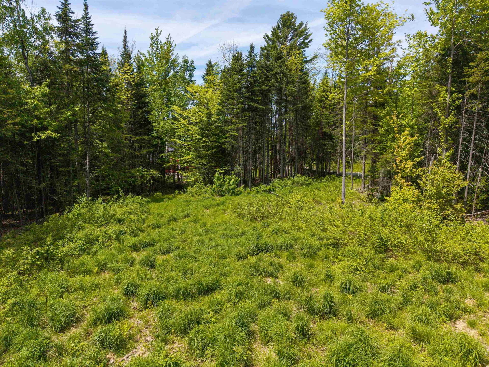 40 Bear Paw Trail Littleton NH 03561