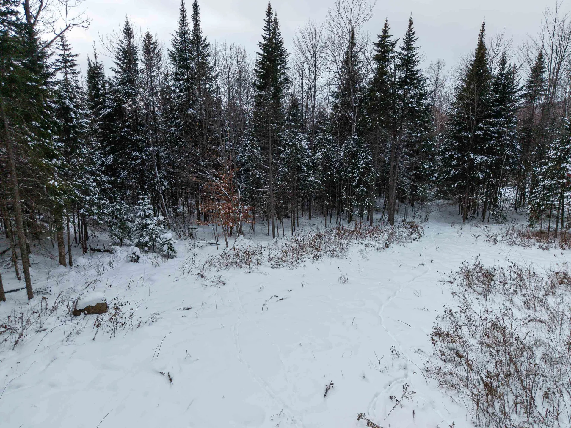 40 Bear Paw Trail Littleton NH 03561