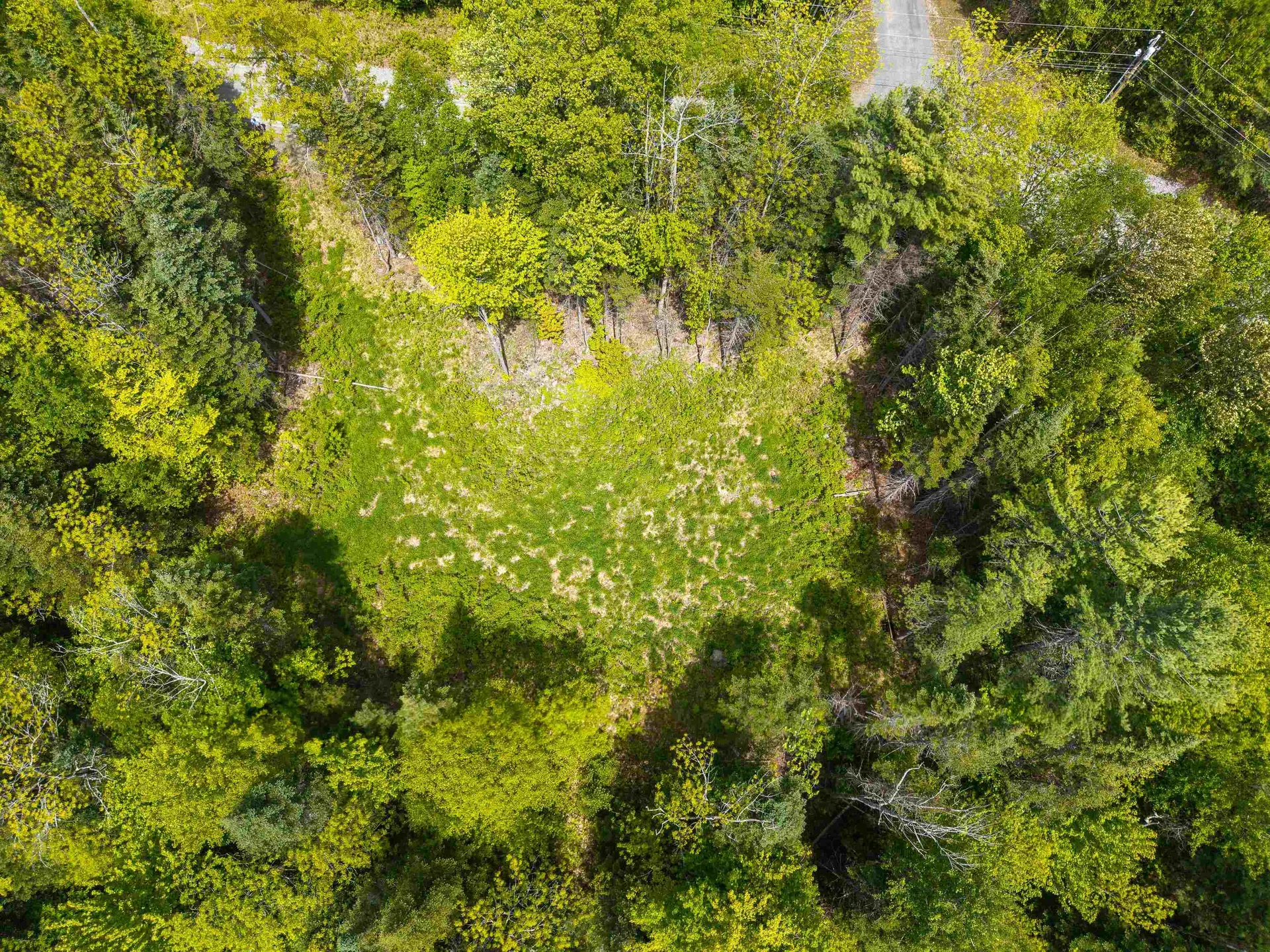 40 Bear Paw Trail Littleton NH 03561