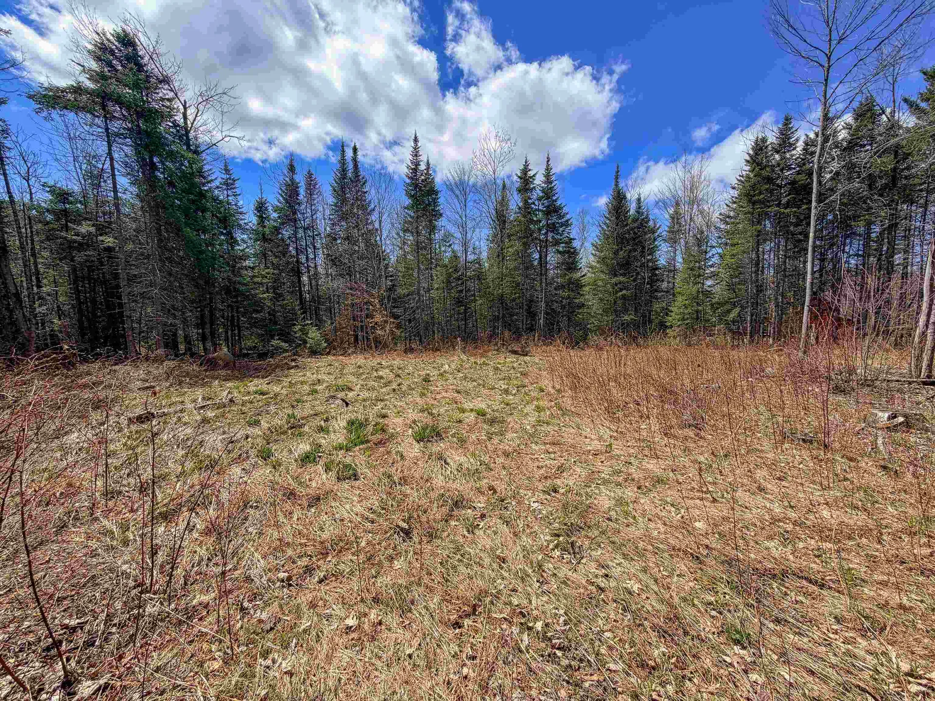 40 Bear Paw Trail Littleton NH 03561