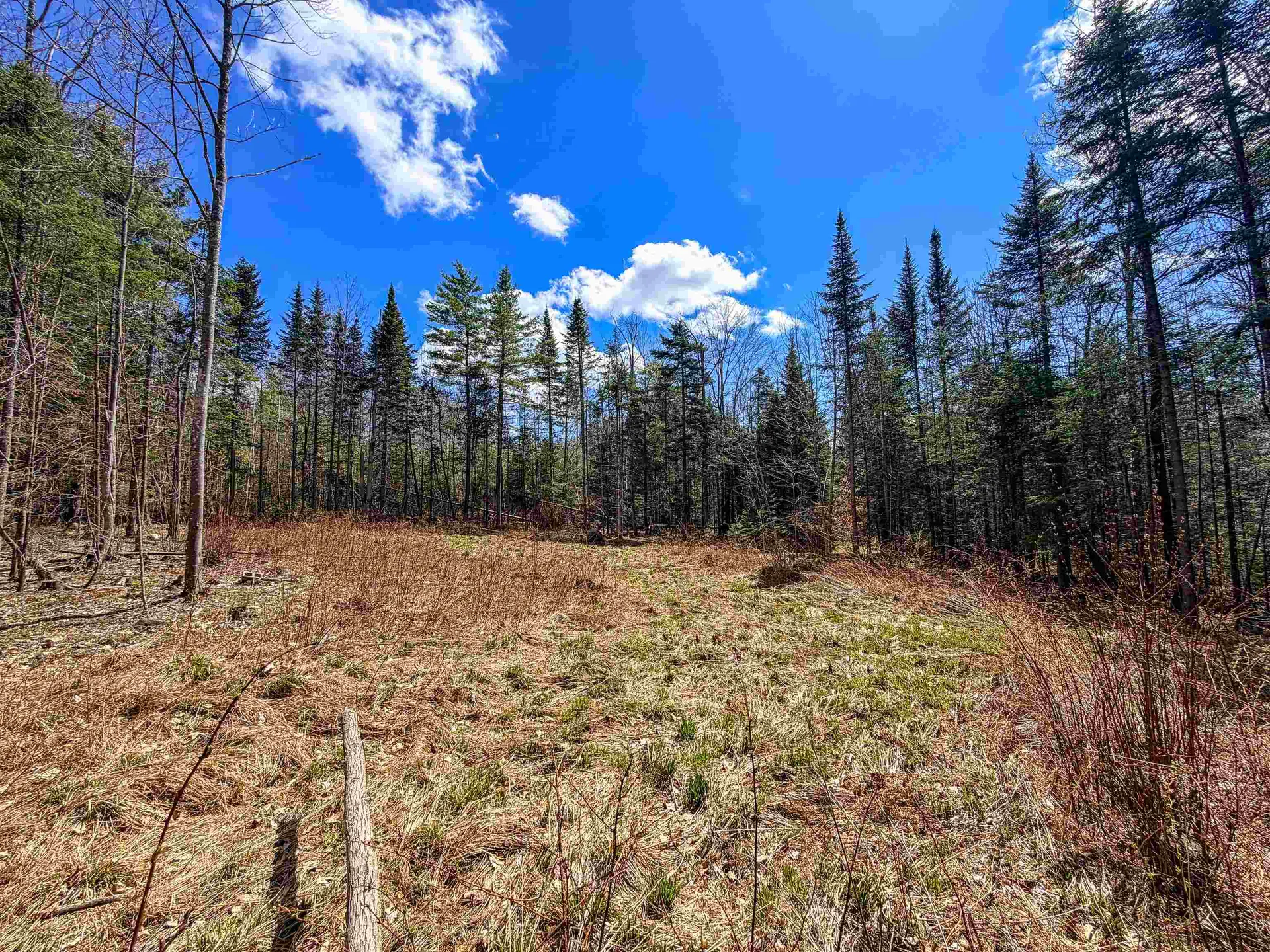 40 Bear Paw Trail Littleton NH 03561