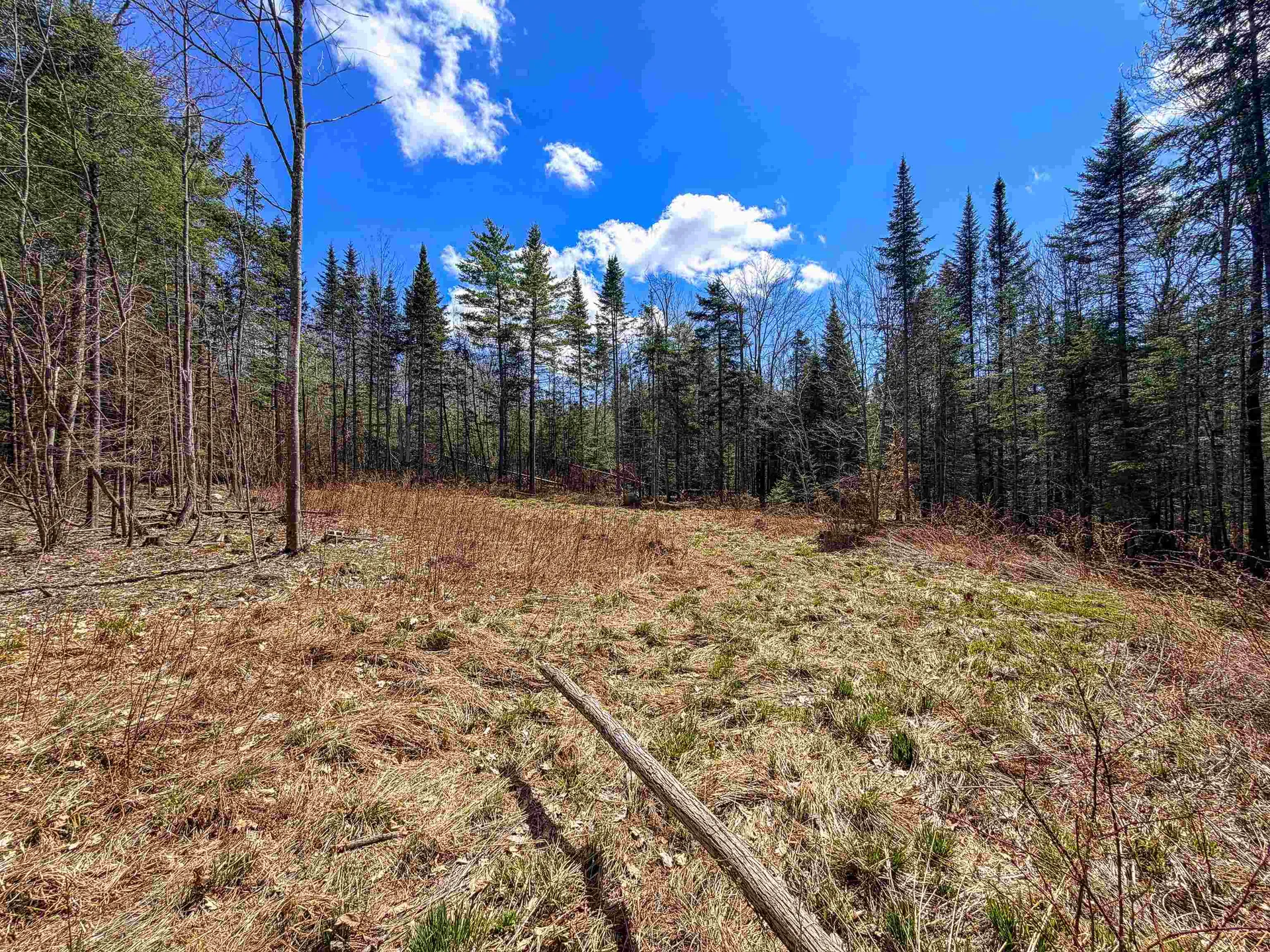 40 Bear Paw Trail Littleton NH 03561