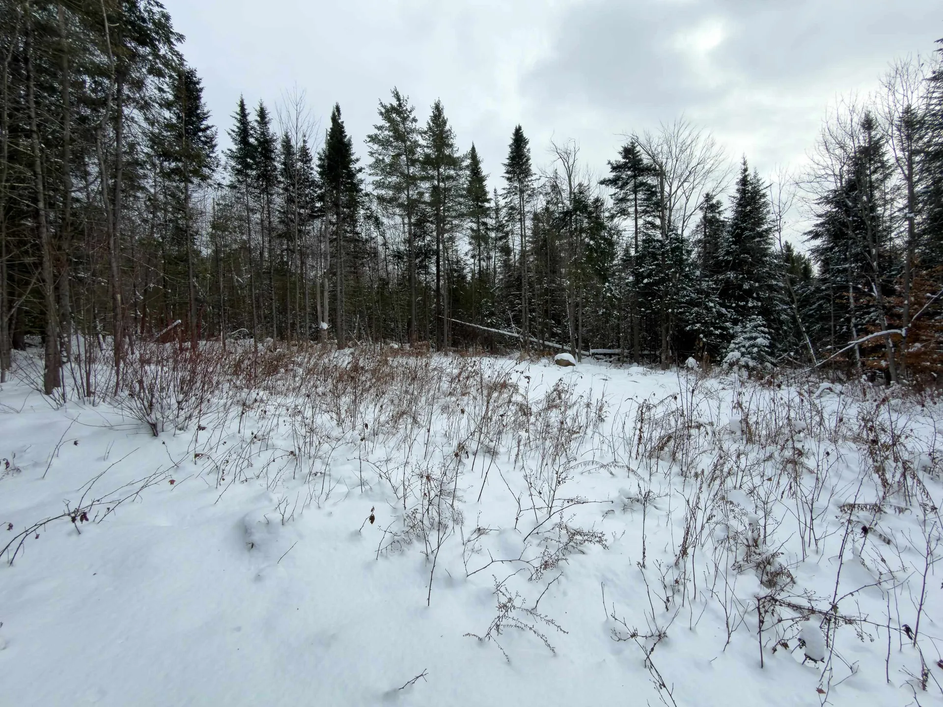 40 Bear Paw Trail Littleton NH 03561