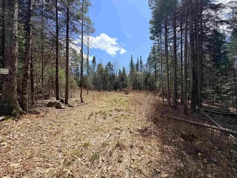 40 Bear Paw Trail Littleton NH 03561