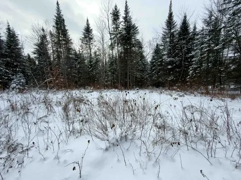 40 Bear Paw Trail Littleton NH 03561