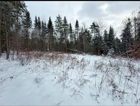 40 Bear Paw Trail Littleton NH 03561