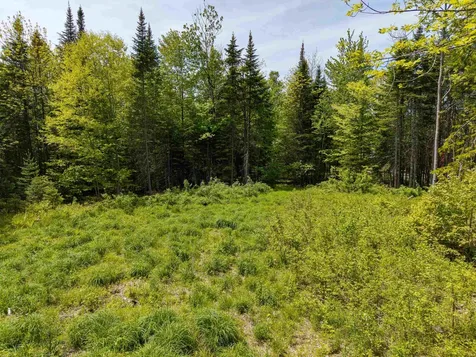 40 Bear Paw Trail Littleton NH 03561