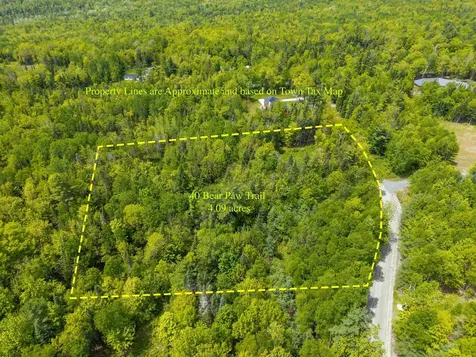40 Bear Paw Trail Littleton NH 03561