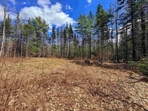 40 Bear Paw Trail Littleton NH 03561