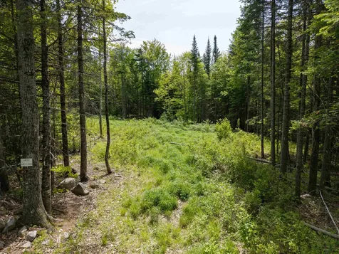 40 Bear Paw Trail Littleton NH 03561