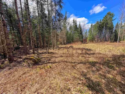 40 Bear Paw Trail Littleton NH 03561