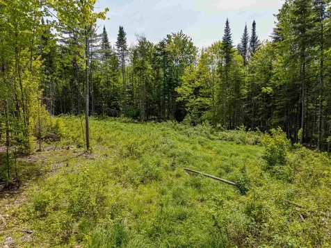 40 Bear Paw Trail Littleton NH 03561