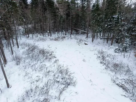 40 Bear Paw Trail Littleton NH 03561