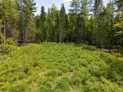 40 Bear Paw Trail Littleton NH 03561