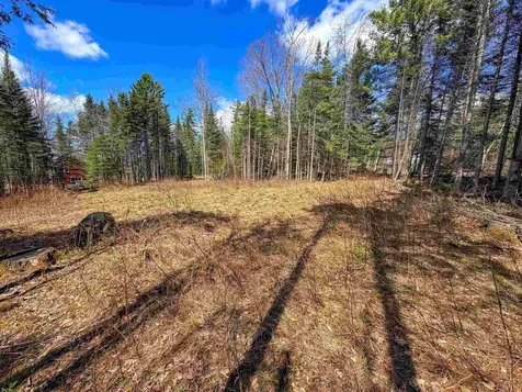40 Bear Paw Trail Littleton NH 03561