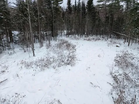 40 Bear Paw Trail Littleton NH 03561