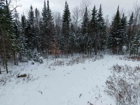 40 Bear Paw Trail Littleton NH 03561