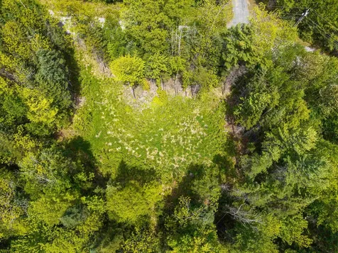 40 Bear Paw Trail Littleton NH 03561