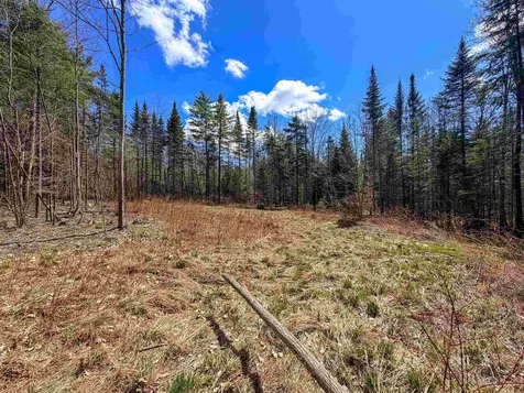 40 Bear Paw Trail Littleton NH 03561