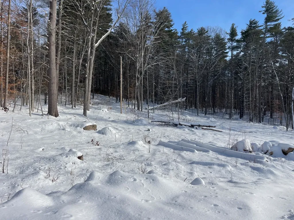 16 Burdett Road Bartlett NH 03847