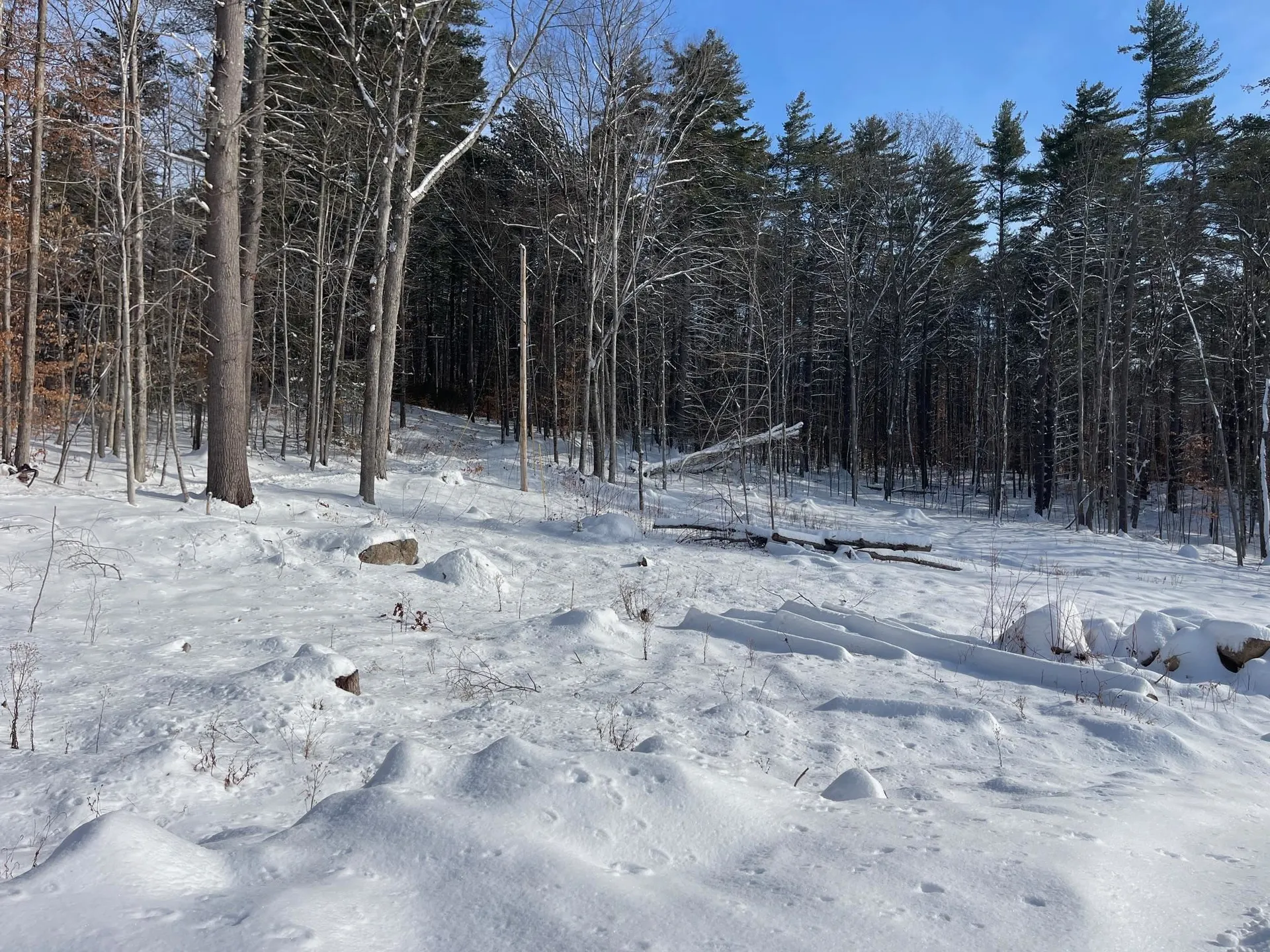 16 Burdett Road Bartlett NH 03847