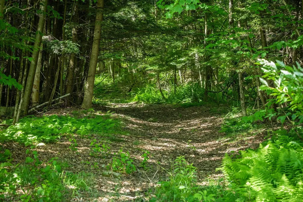 1726 Skitchewaug Trail Springfield VT 05156