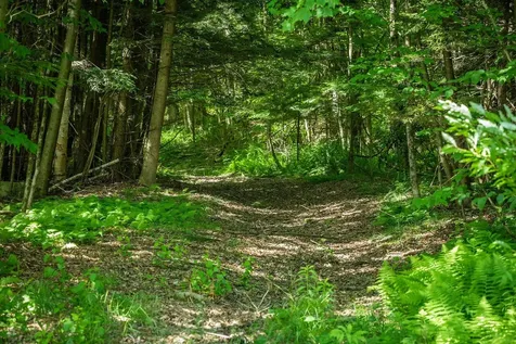 1726 Skitchewaug Trail Springfield VT 05156