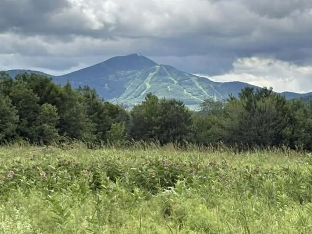 00 River Bend Drive Jay VT 05859