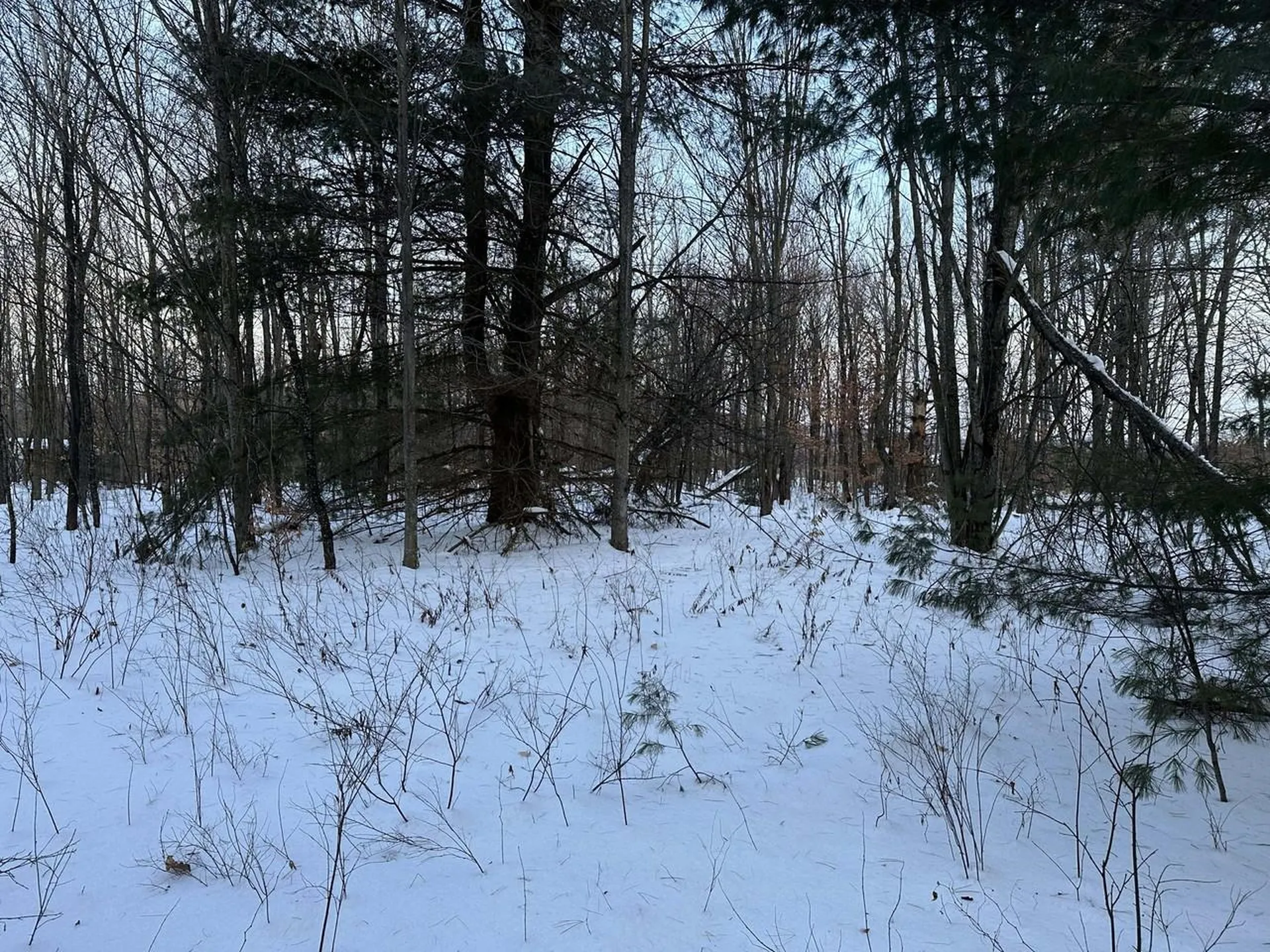 0 Belle Vista Road Jay VT 05859