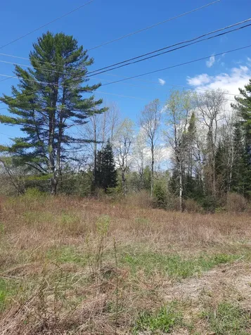 403-42 Us Route 3 Columbia NH 03576
