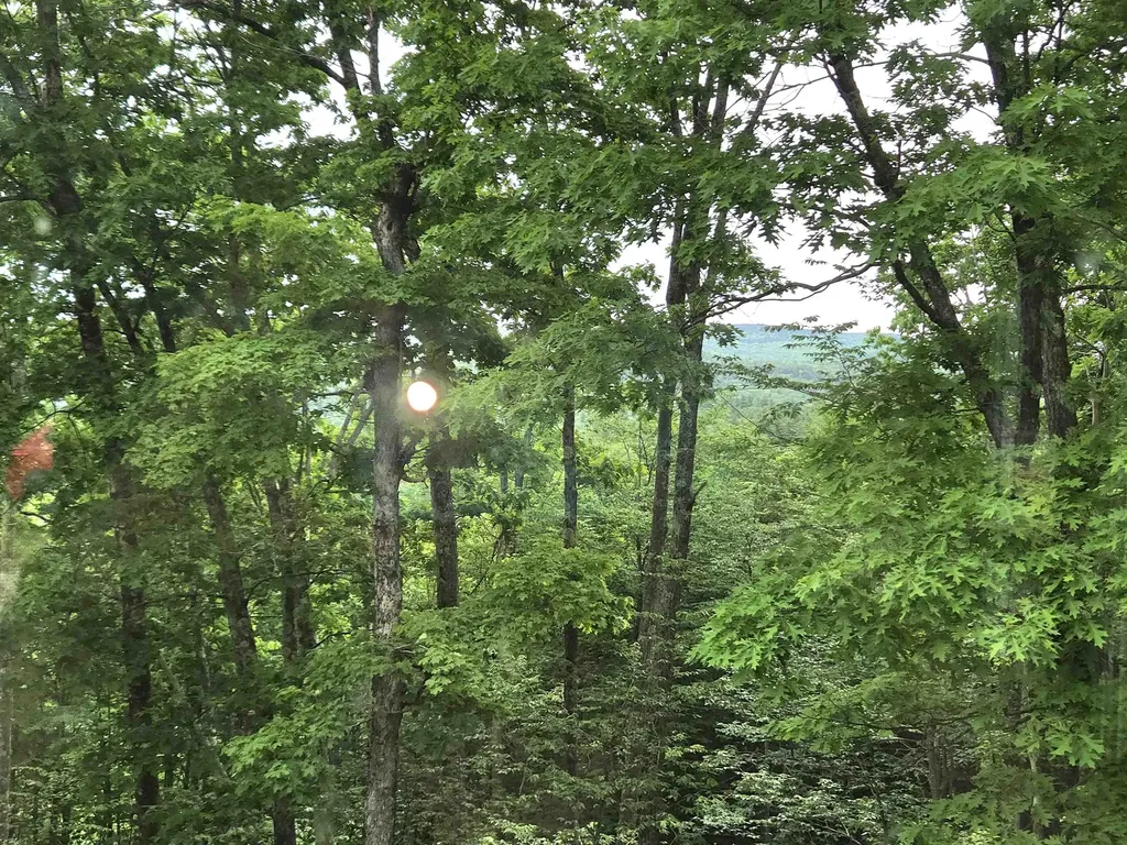 1046 Kings Highway Stoddard NH 03464
