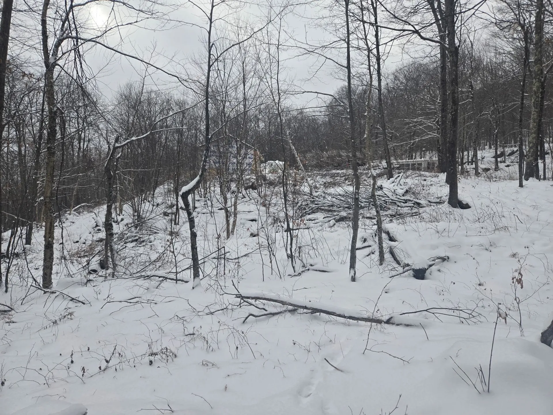1046 Kings Highway Stoddard NH 03464