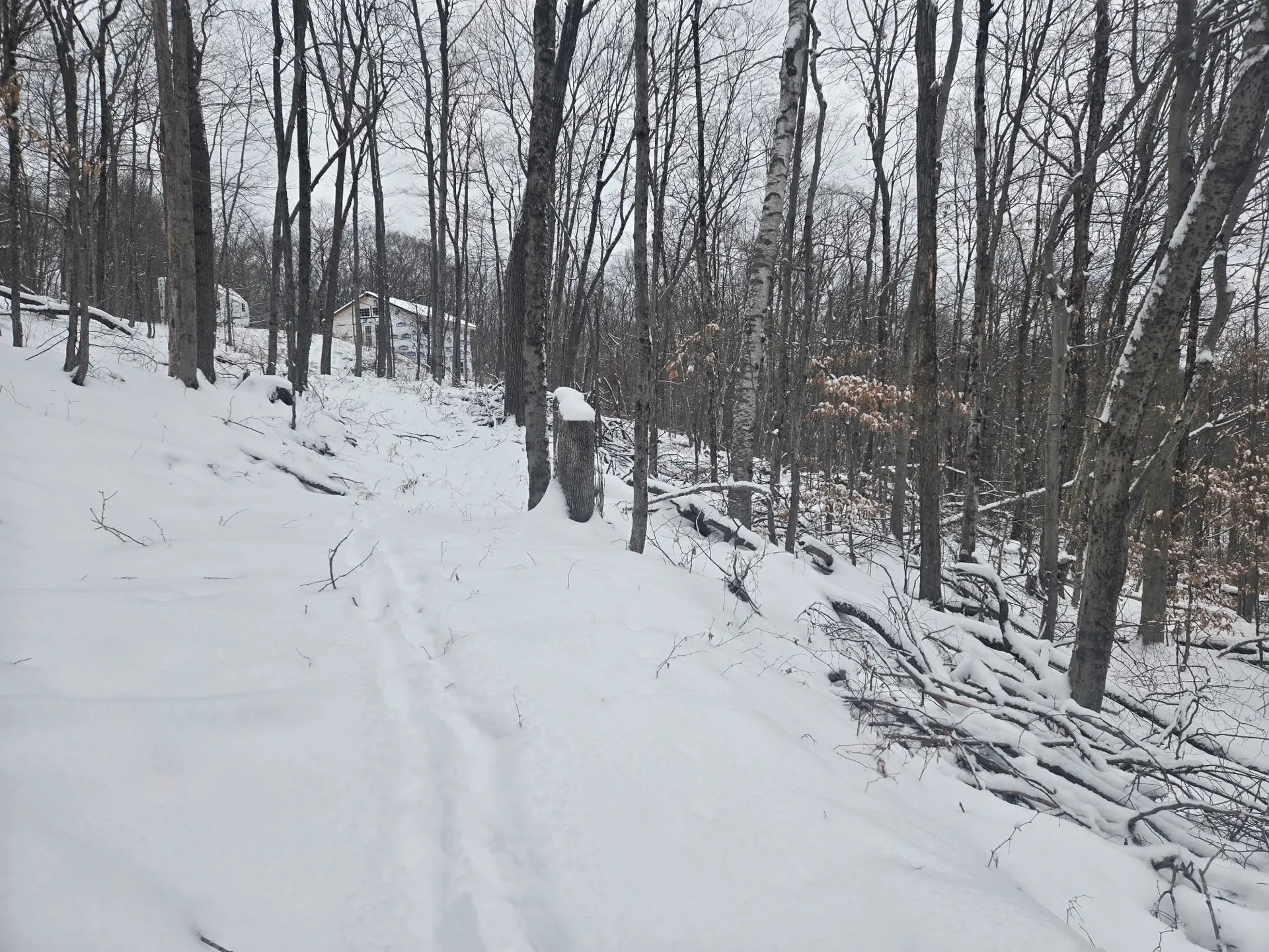 1046 Kings Highway Stoddard NH 03464