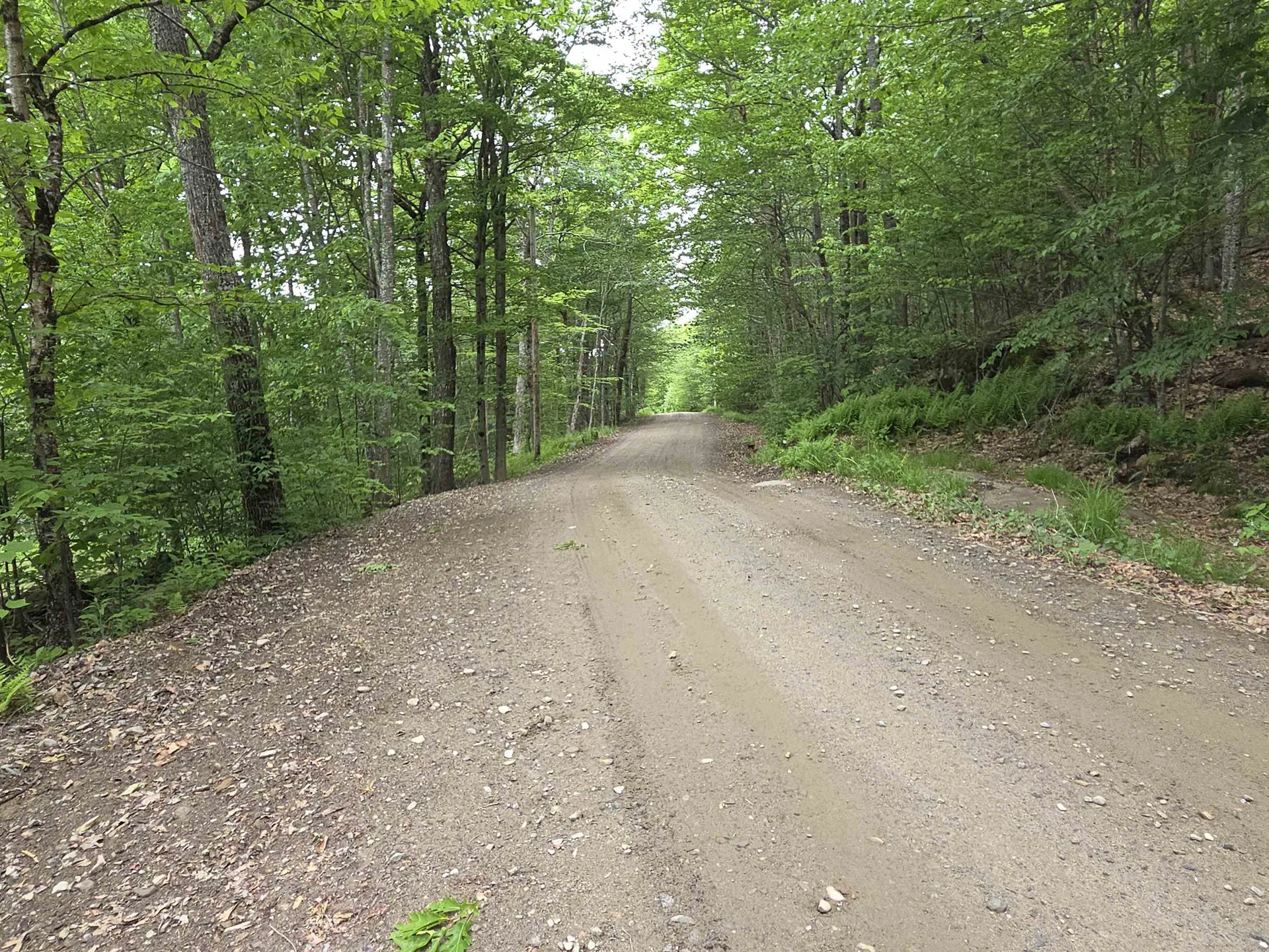 1046 Kings Highway Stoddard NH 03464