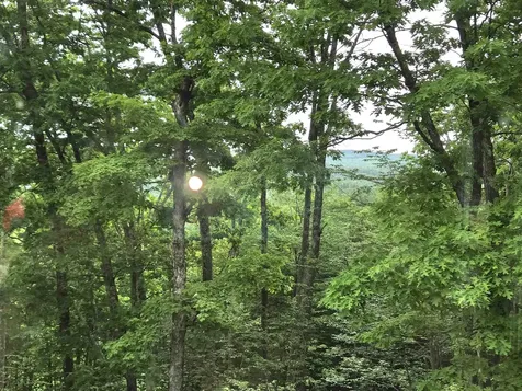 1046 Kings Highway Stoddard NH 03464