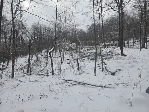 1046 Kings Highway Stoddard NH 03464