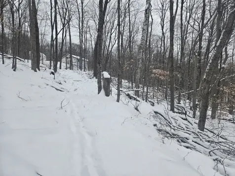 1046 Kings Highway Stoddard NH 03464