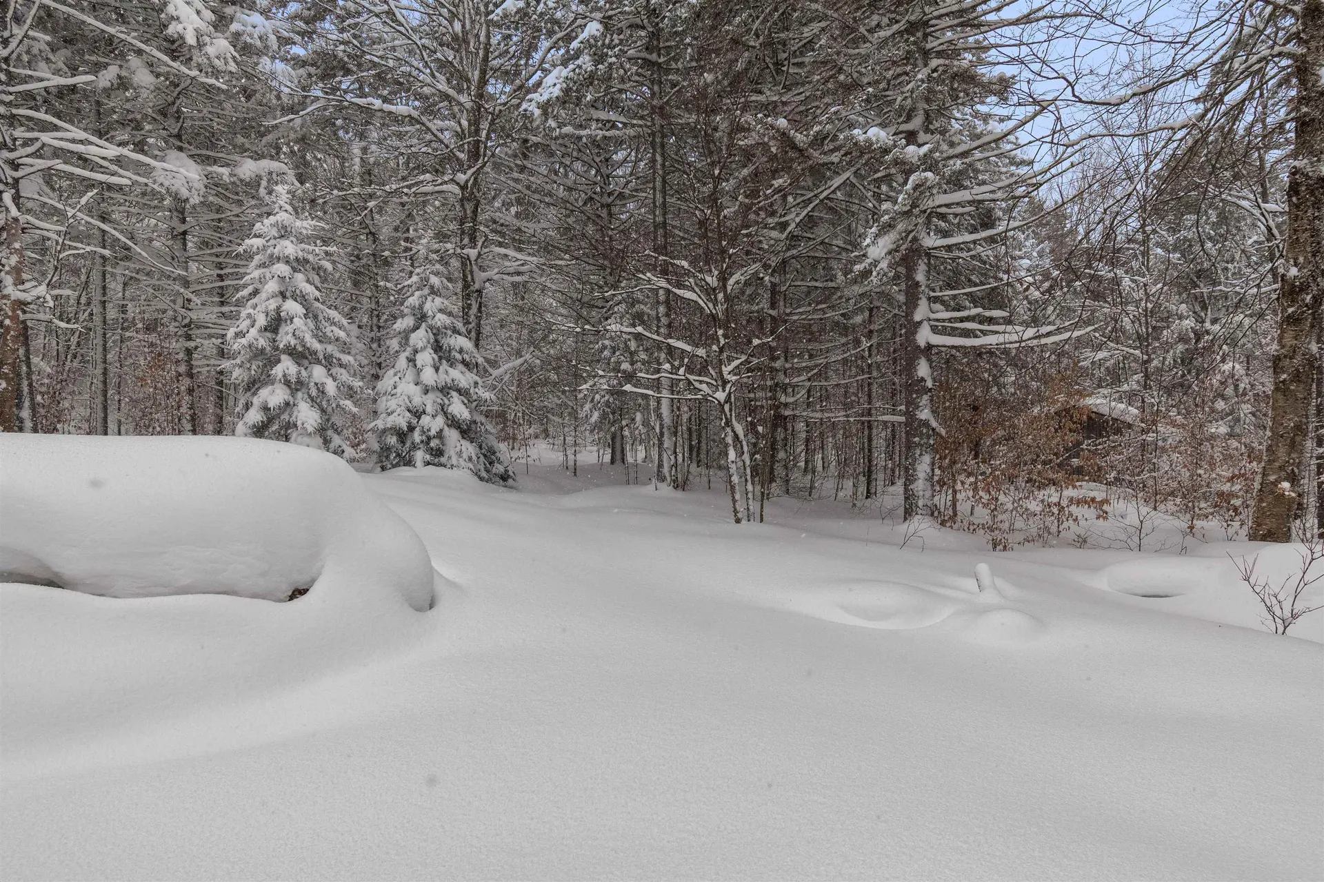 3091 Mountain Road Montgomery VT 05471