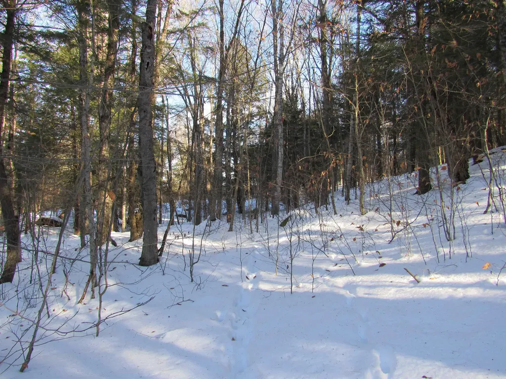 0 Lower Taylor Hill Road Winhall VT 05340