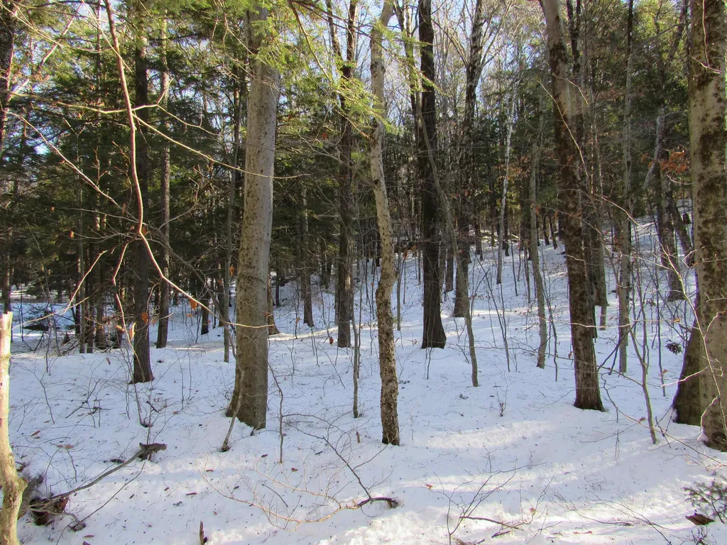 0 Lower Taylor Hill Road Winhall VT 05340