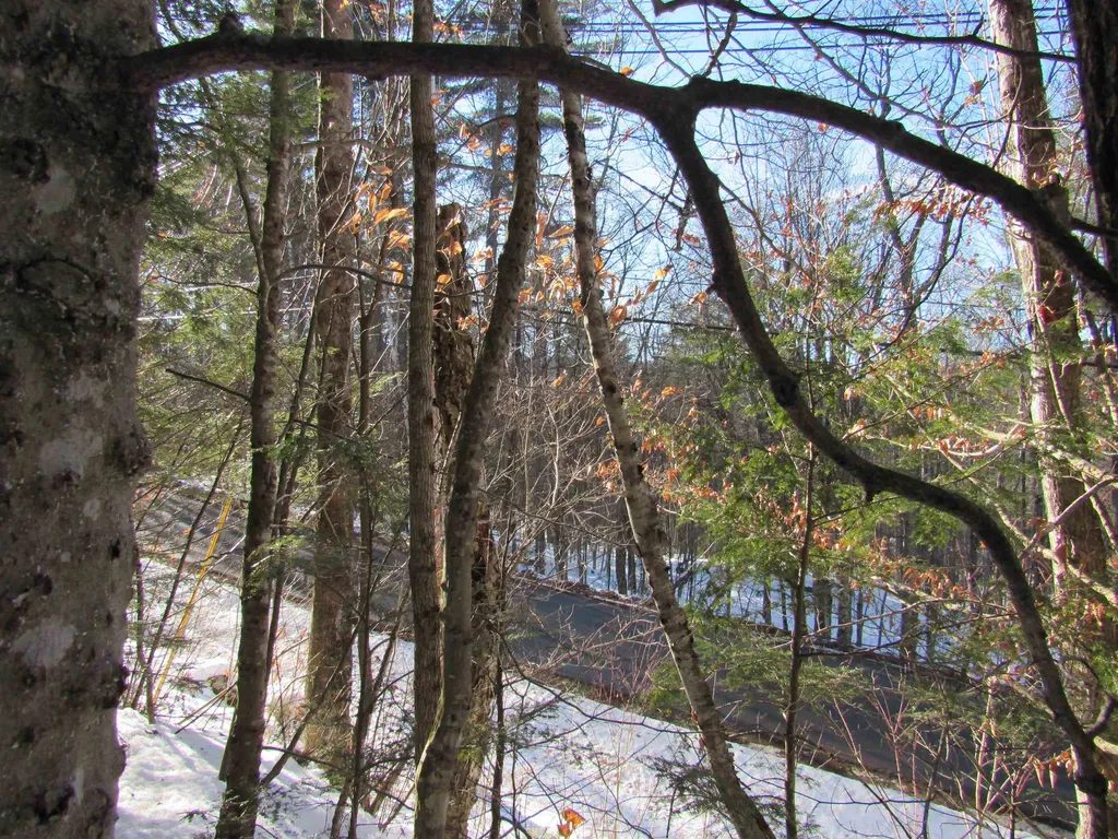 0 Lower Taylor Hill Road Winhall VT 05340