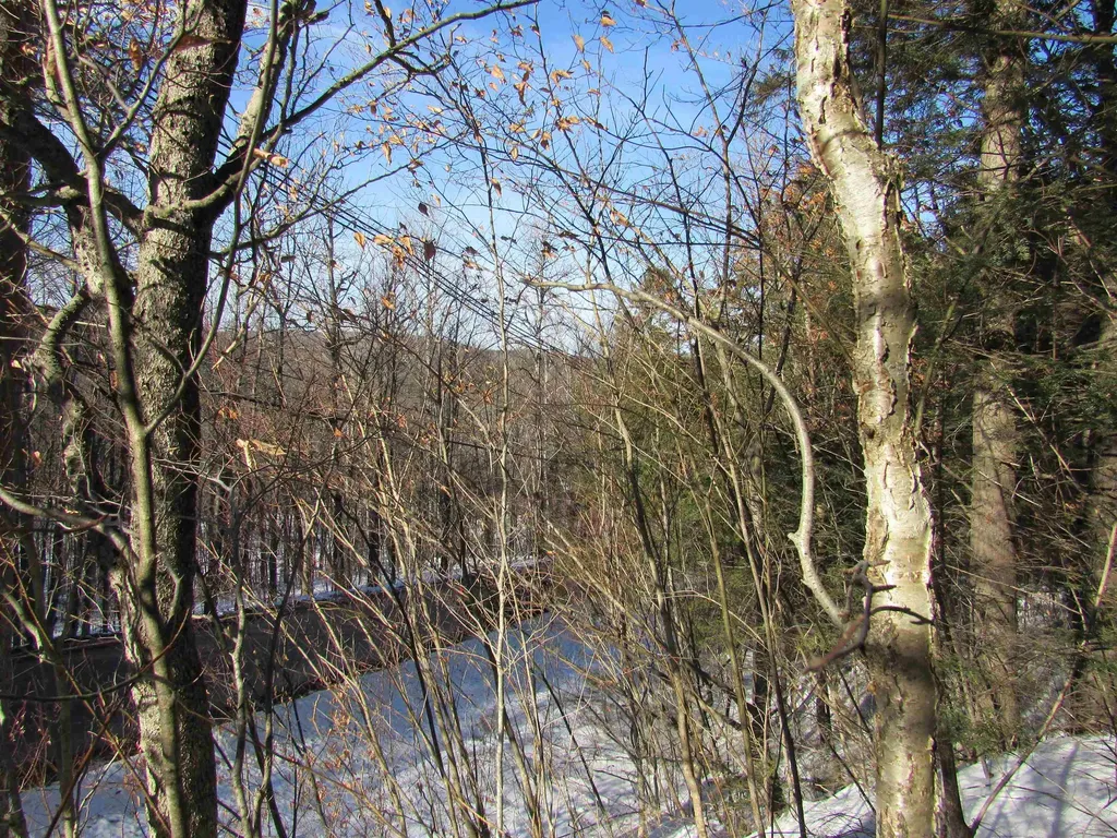 0 Lower Taylor Hill Road Winhall VT 05340