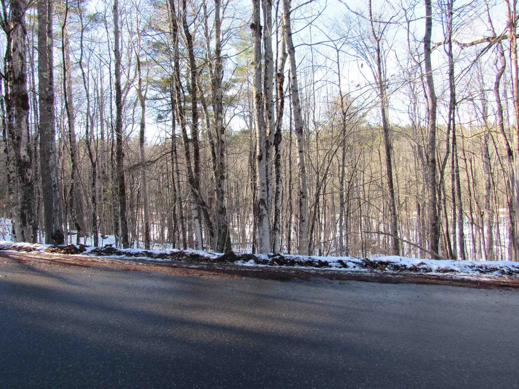 0 Lower Taylor Hill Road Winhall VT 05340